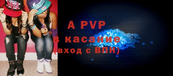 трава Гусиноозёрск