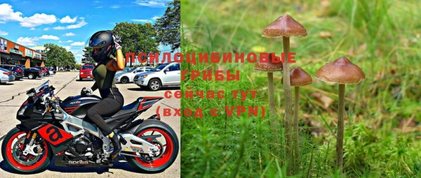 шишки Слюдянка