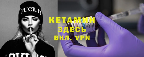 трава Гусиноозёрск