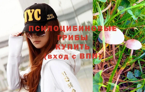 трава Гусиноозёрск