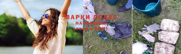 твердый Снежногорск
